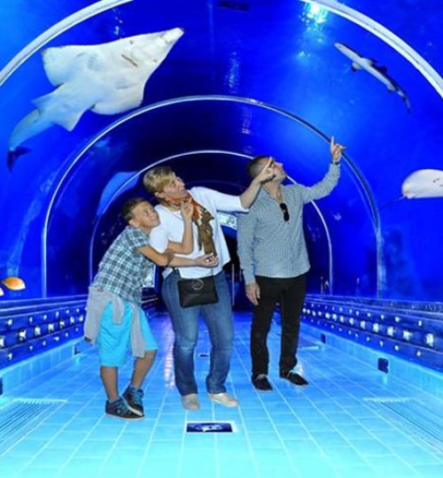hurghada-aquarium_840x500_1702